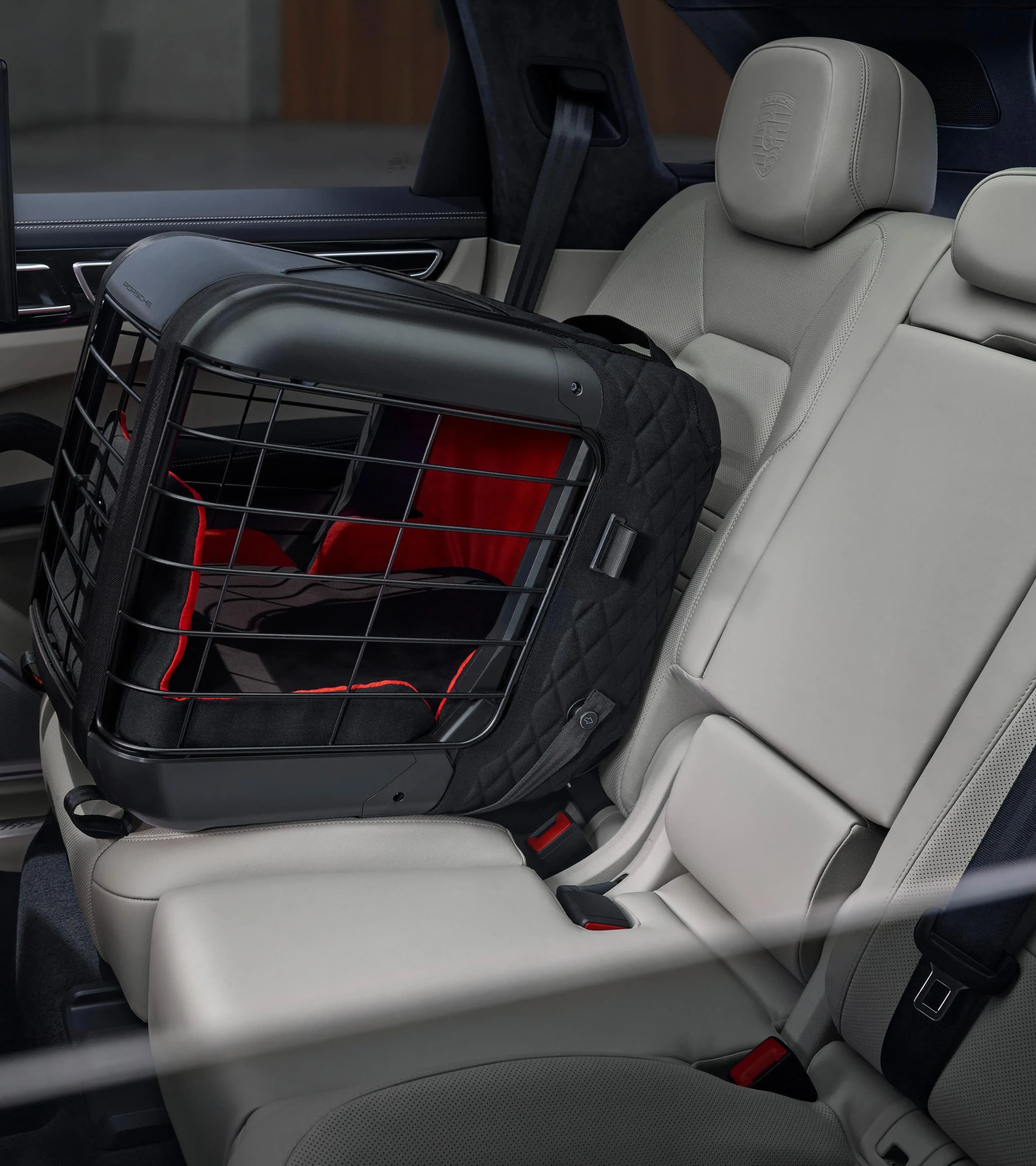 Box voor vervoer van honden 2