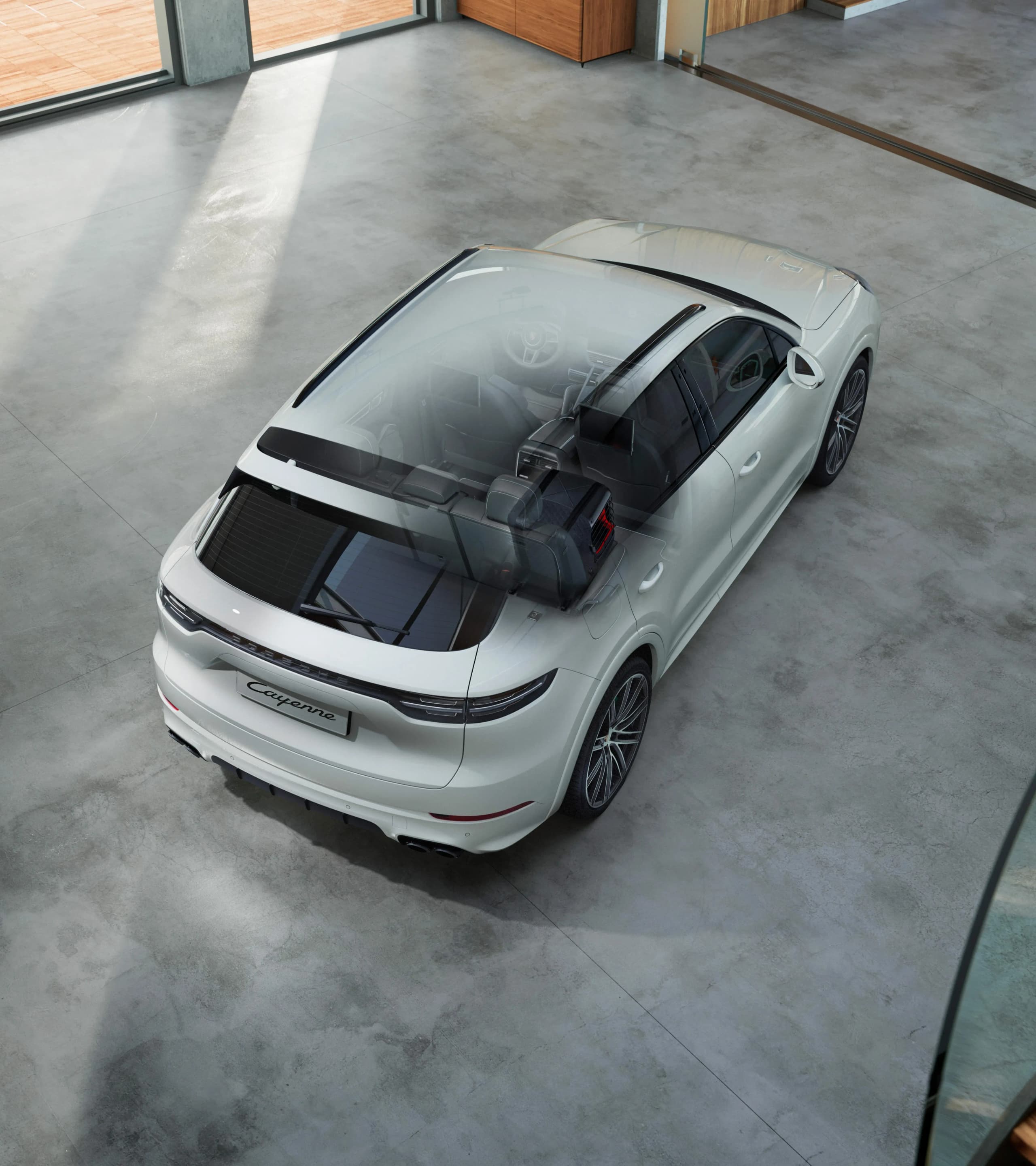 Box voor vervoer van honden 4