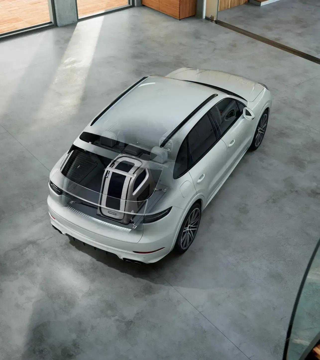 Luggage compartment box for dogs 2