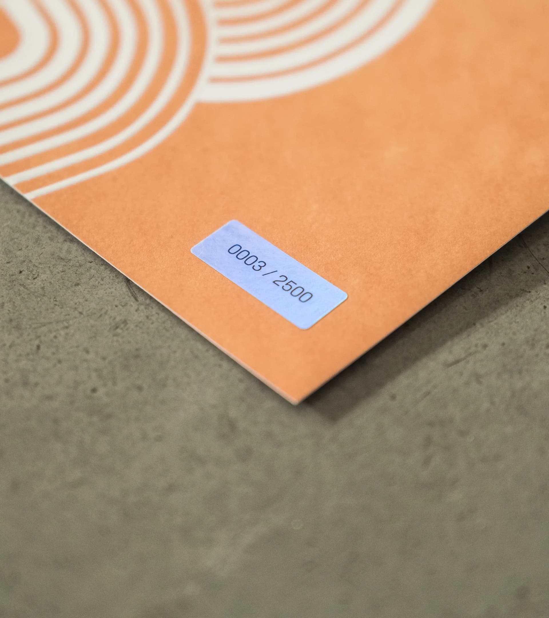 Set di poster – 911 Dakar 6