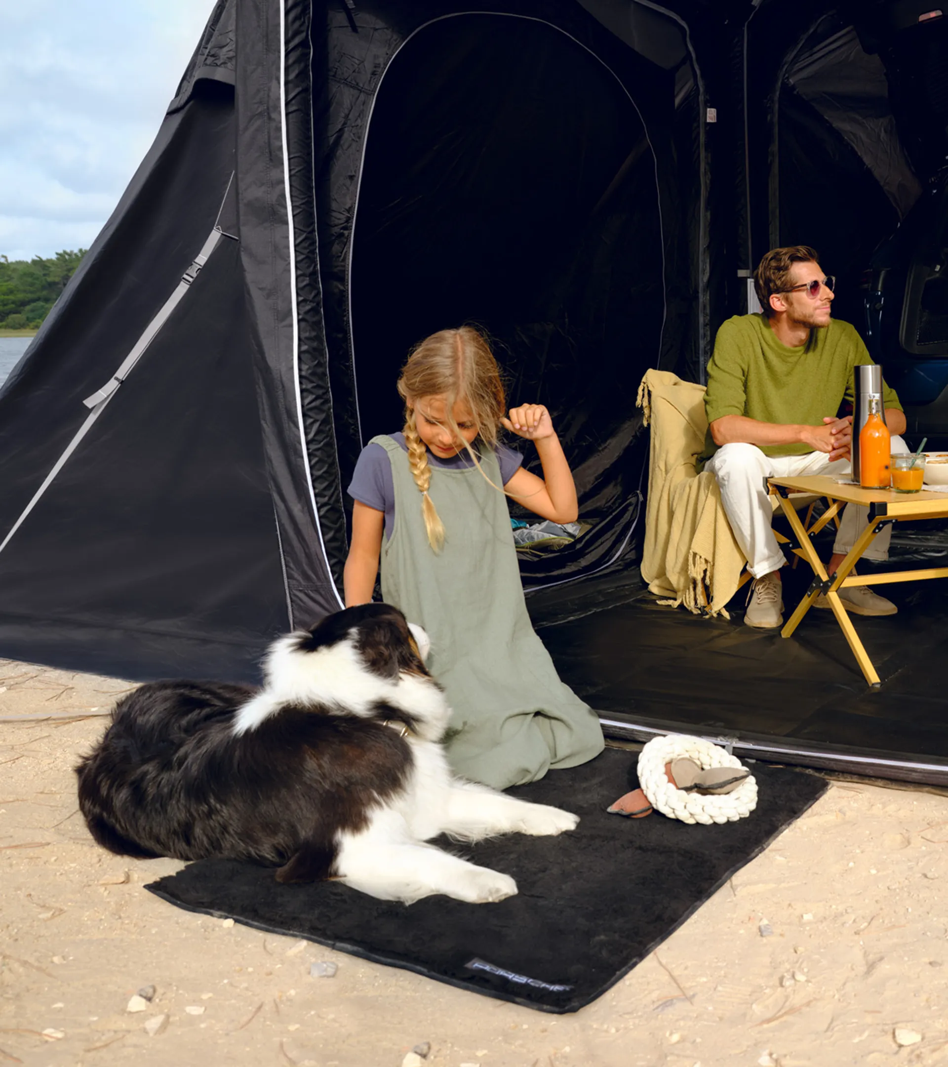 Couverture pour chiens 3