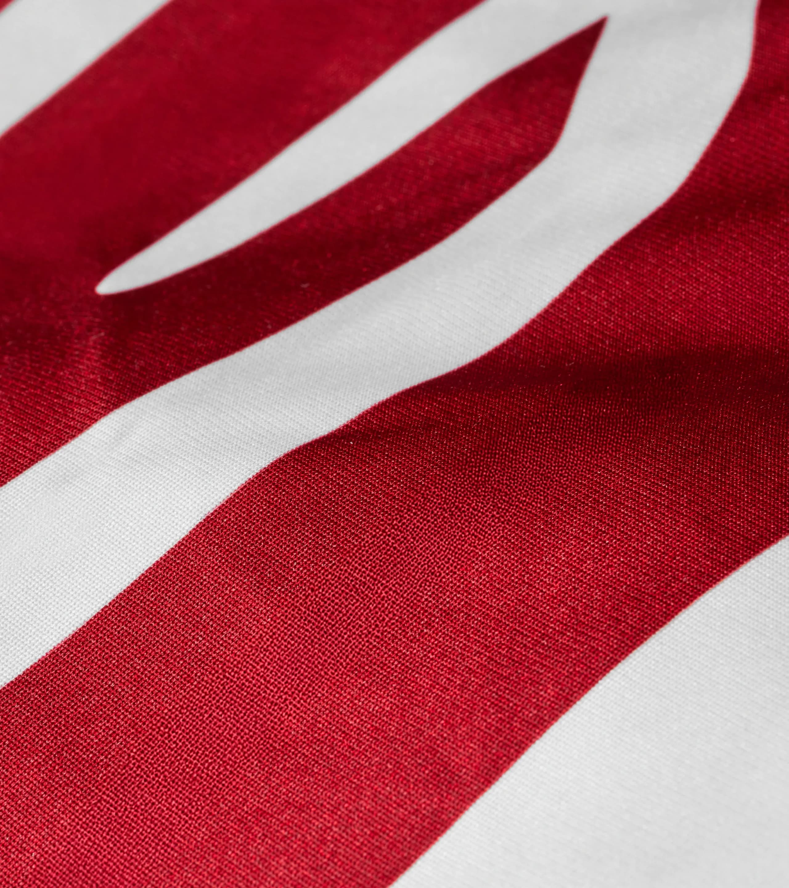 Indoor-Car-Cover GT3 Design - 911 GT3 2