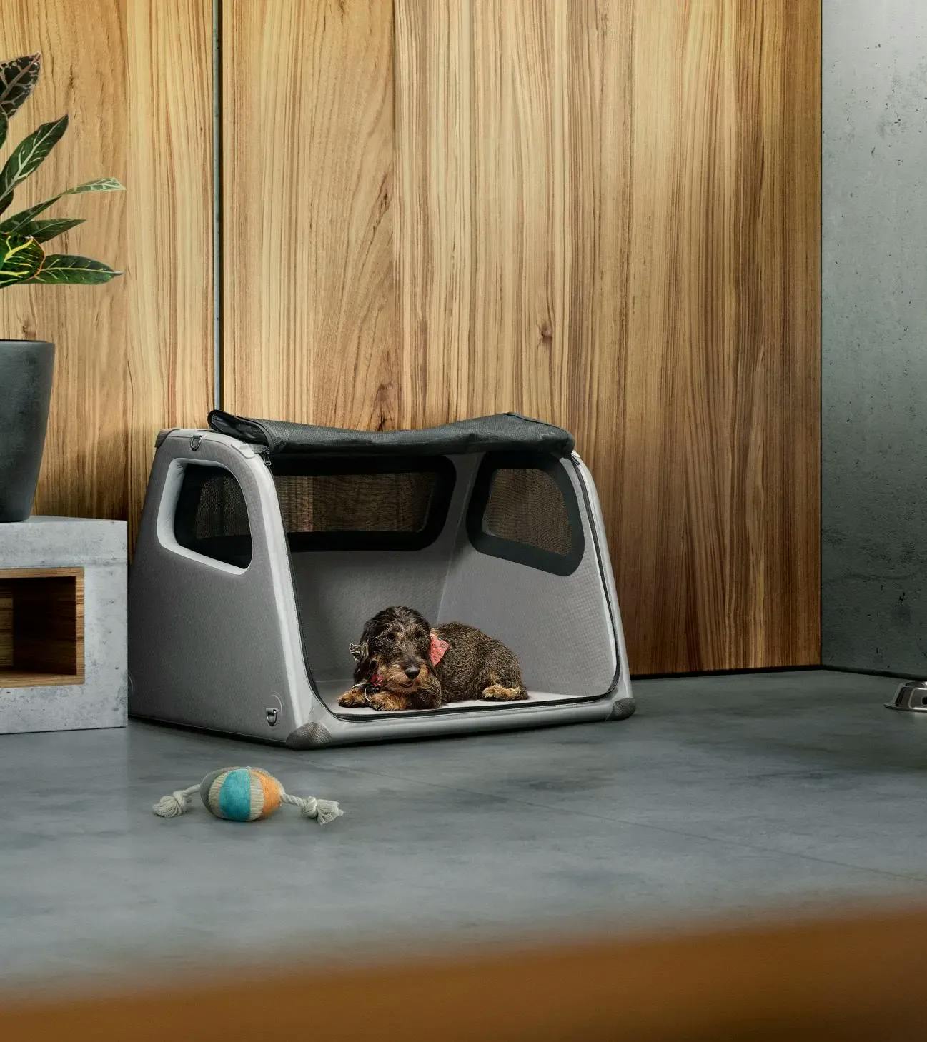 Luggage compartment box for dogs 5