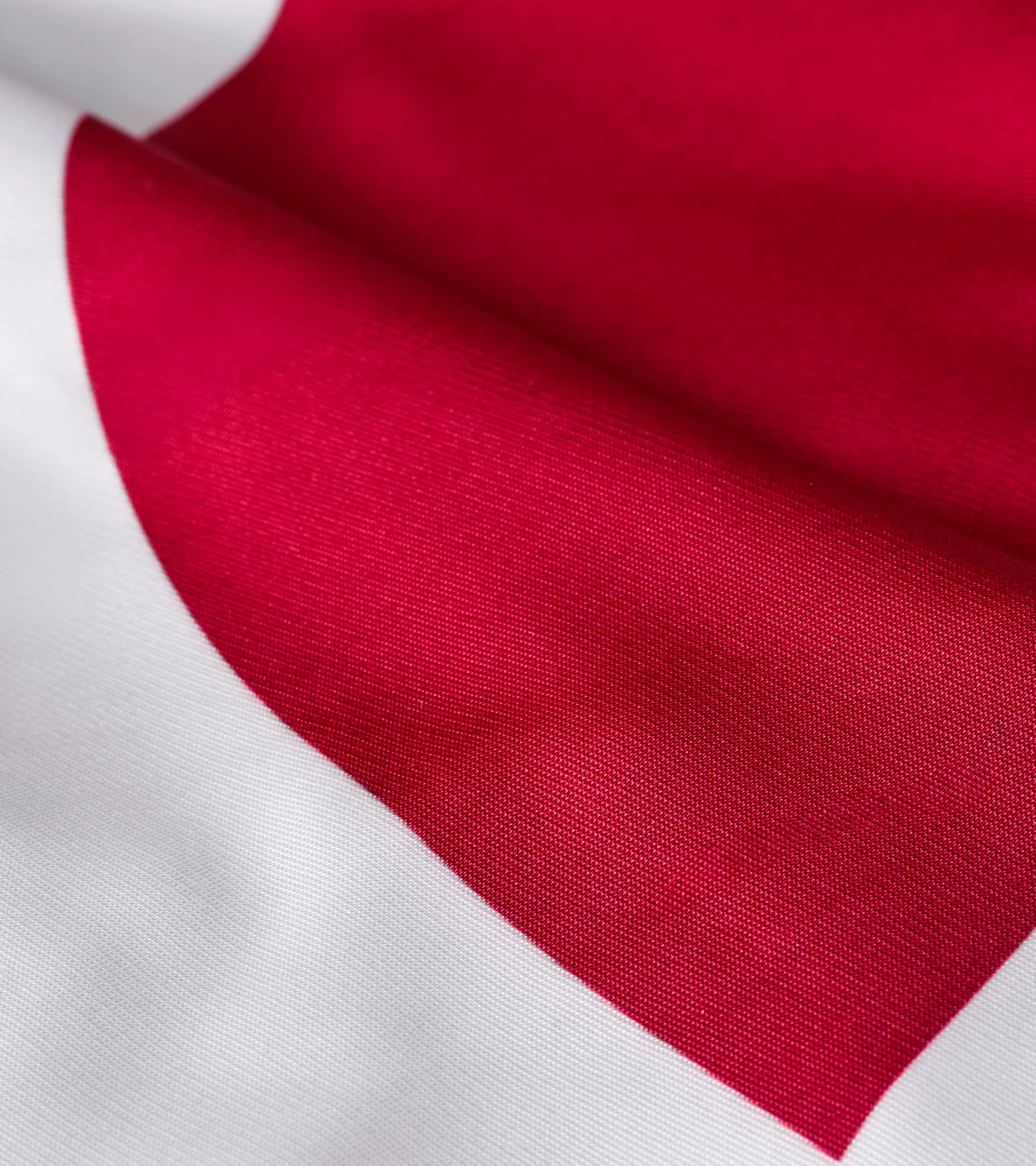 Telo copriauto per interni 911 R Design 2