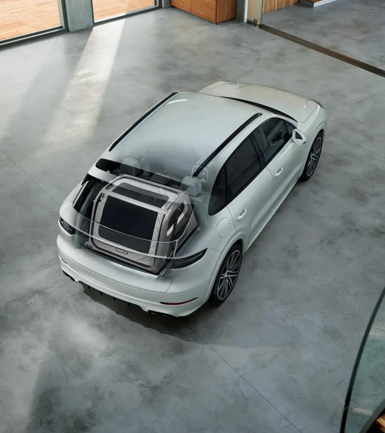 Luggage compartment box for dogs 2