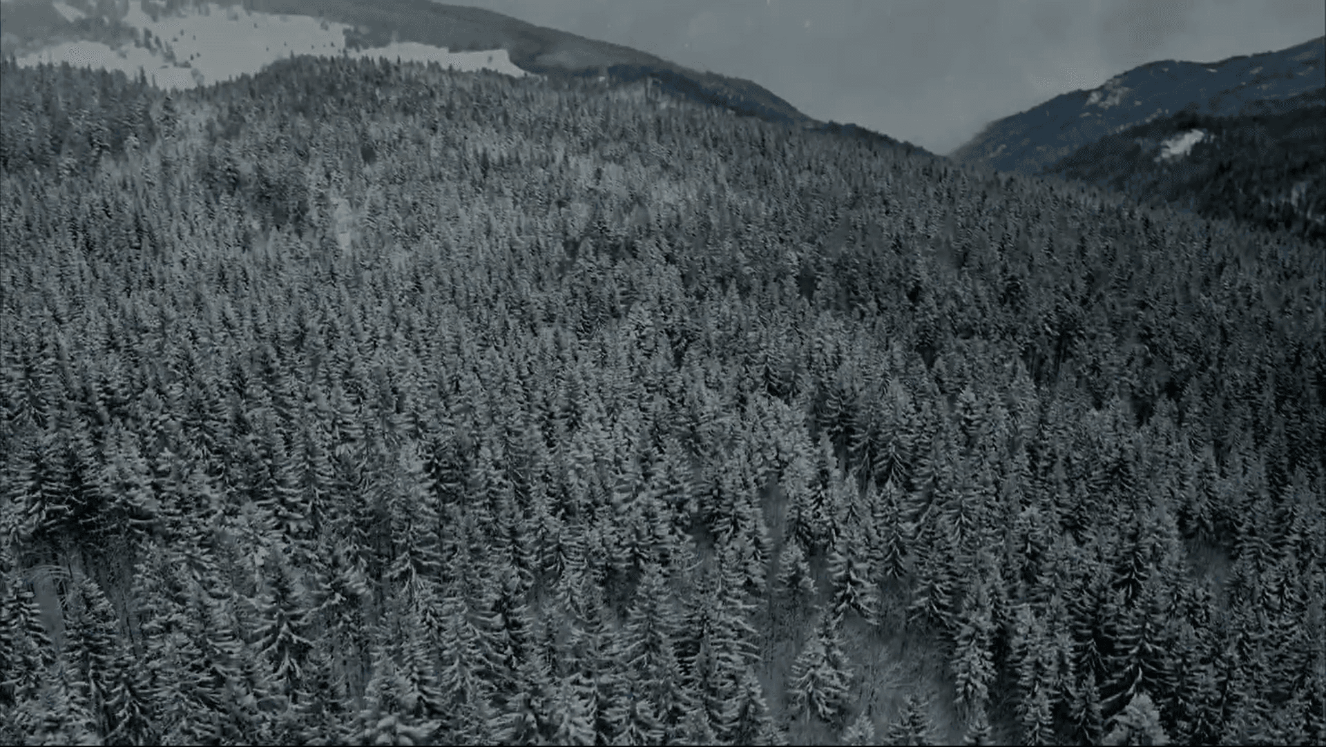 View into a snowy forest surrounded by mountains