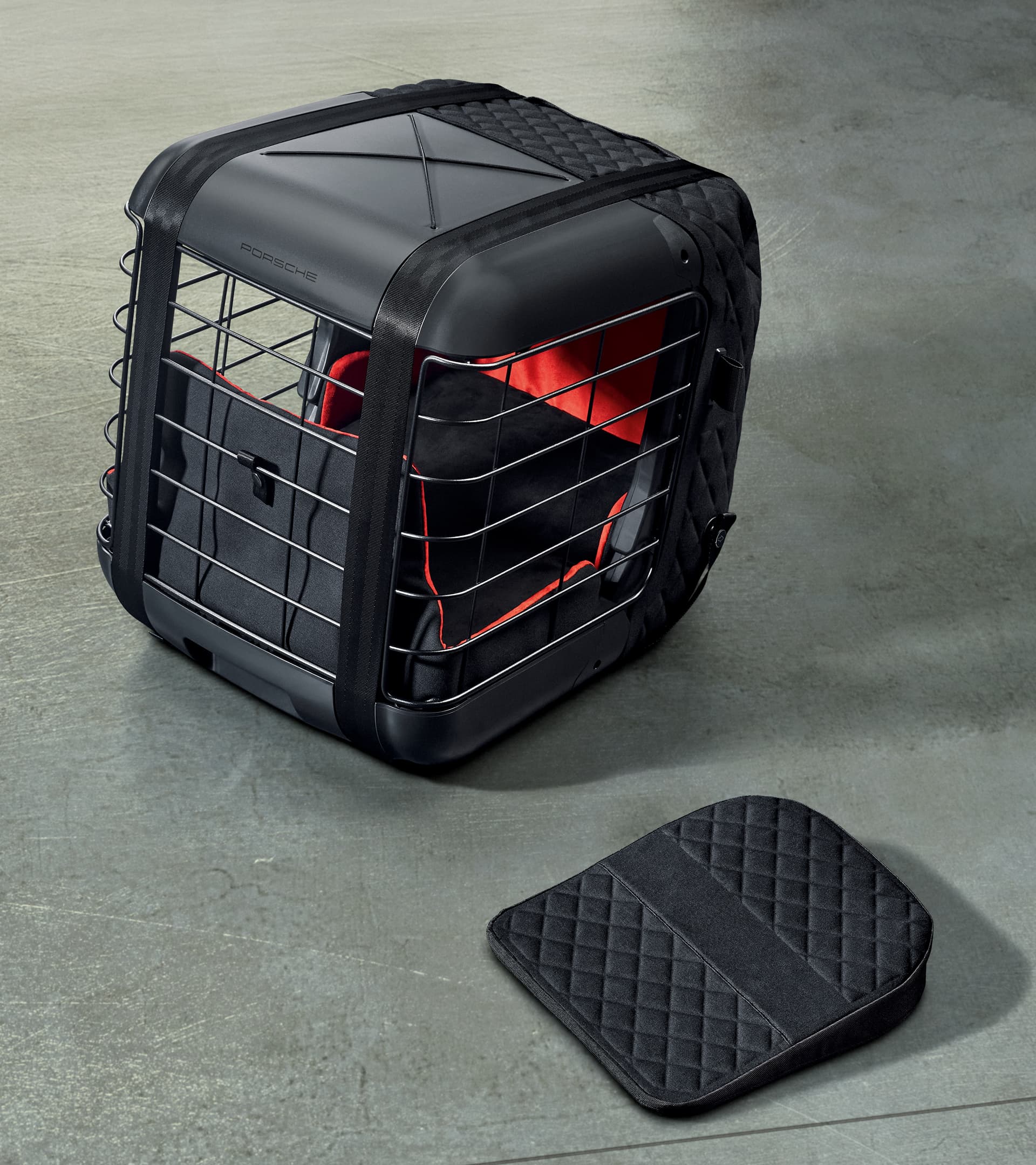 Dog transport box