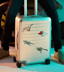 PD Roadster Aluminum S: Sticket set