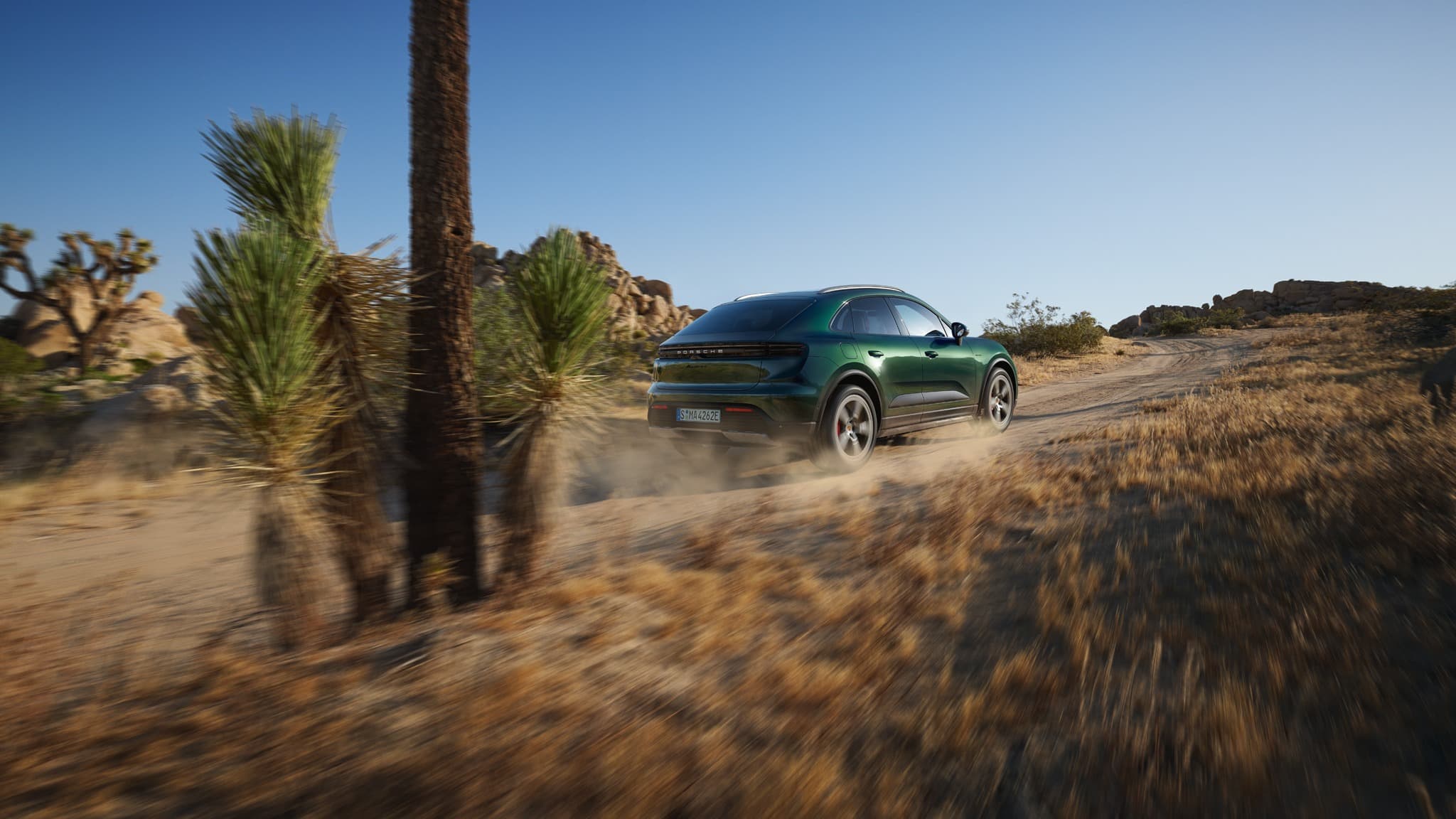 the rear part of a dark green Porsche Macan on a paved floor in front of a rust-red wall with a Porsche Wallbox, plants and blue sky in the background