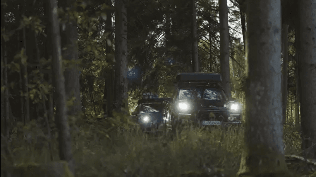 Two Porsche cars driving through the forest